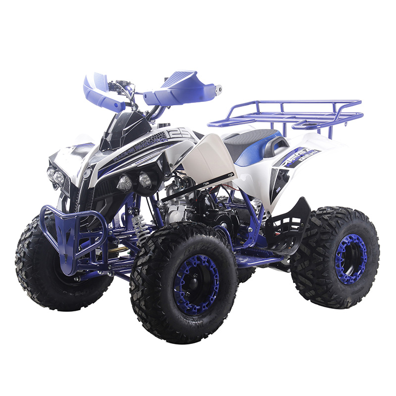 Adult 125cc quad bike 125cc ATV quads dune buggy vehicle