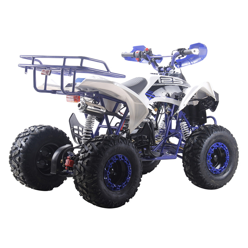 Adult 125cc quad bike 125cc ATV quads dune buggy vehicle