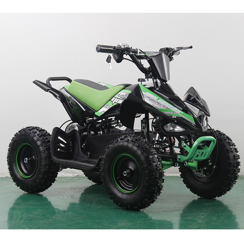 36V 500W 8000W 1000W electric mini ATV kids quad bike
