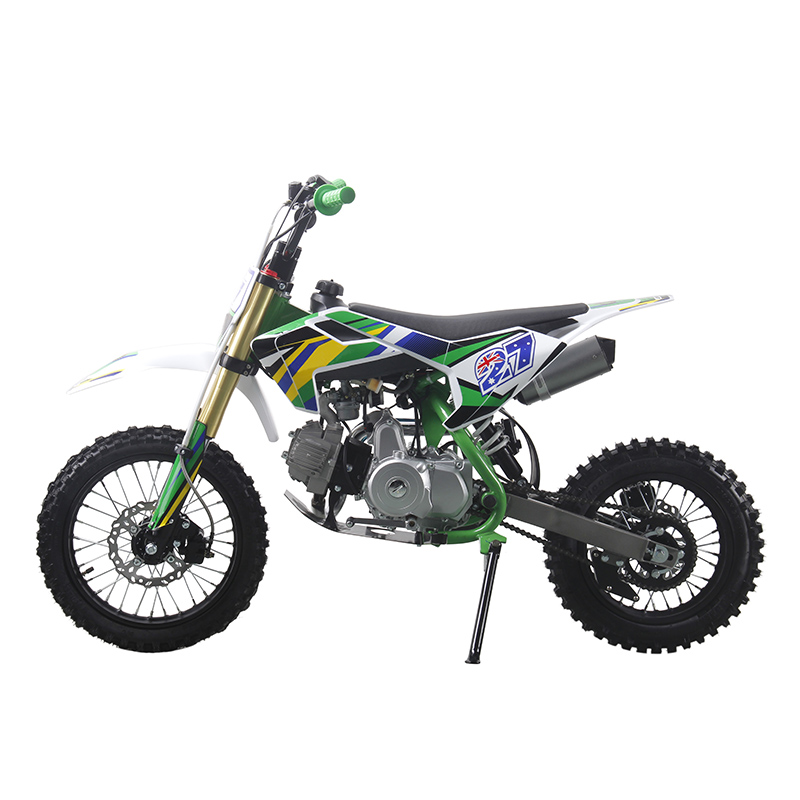 125cc pit bike dirt bike for sale