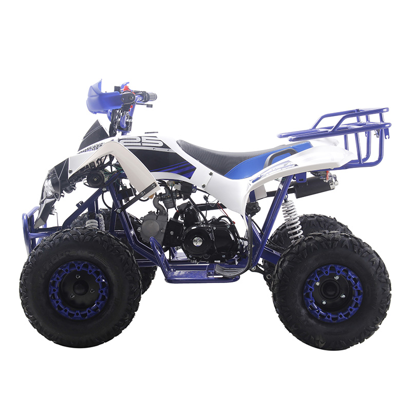 Adult 125cc quad bike 125cc ATV quads dune buggy vehicle