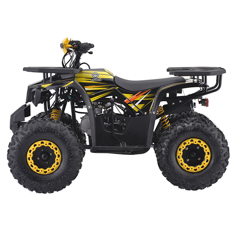 125cc quad bike 125cc ATV four wheeler motorcycle