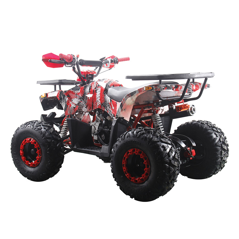 125cc quad bike 125cc ATV four wheeler motorcycle