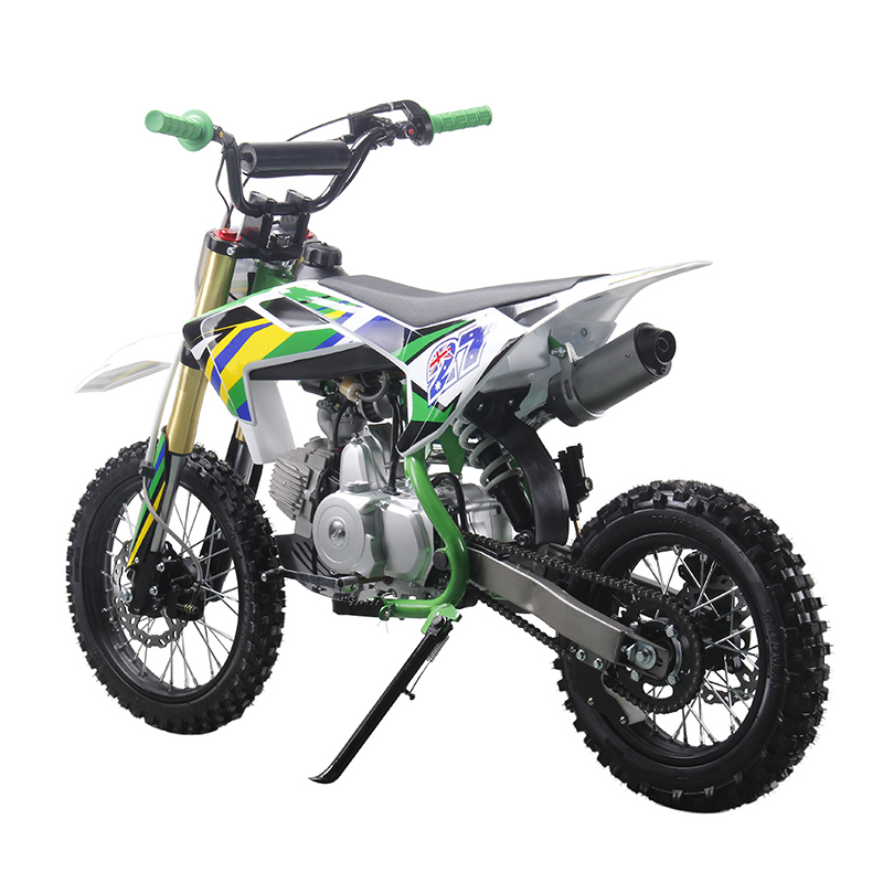 125cc pit bike dirt bike for sale