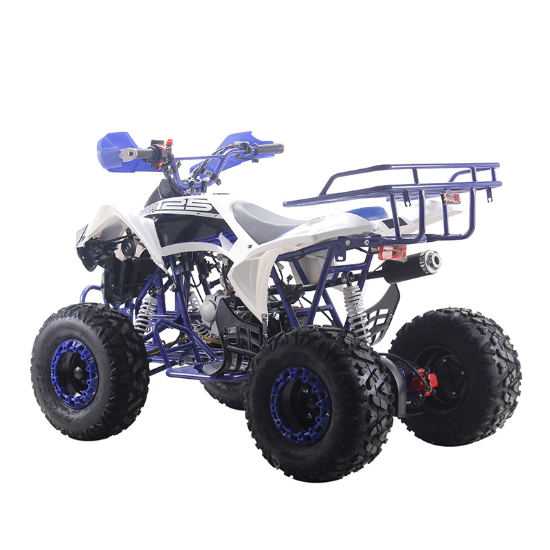 Adult 125cc quad bike 125cc ATV quads dune buggy vehicle