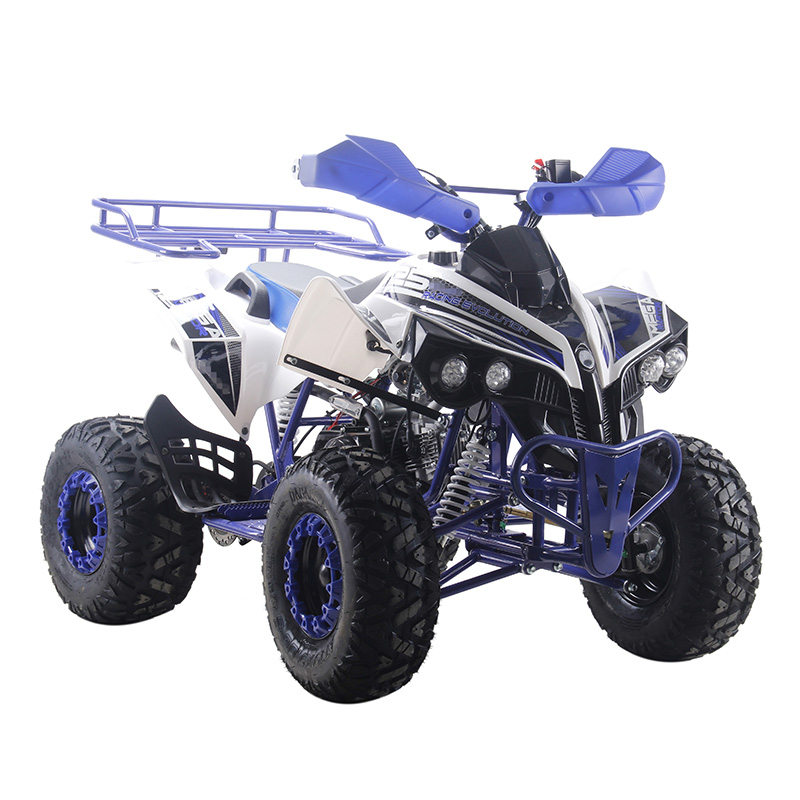 Adult 125cc quad bike 125cc ATV quads dune buggy vehicle