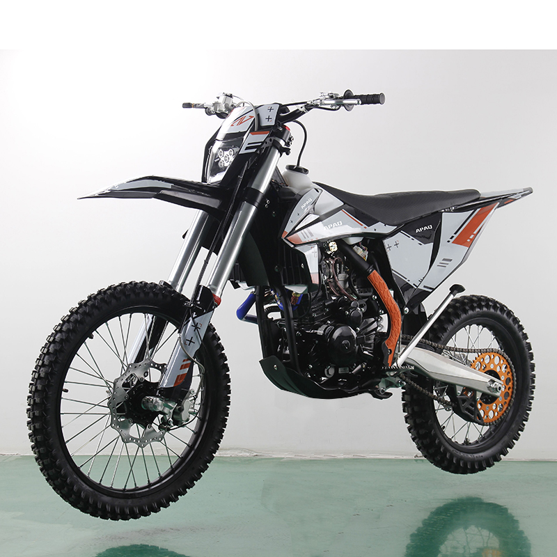 300CC Pit Bike