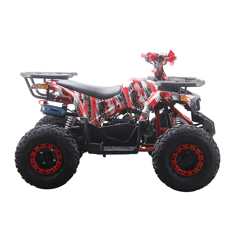 125cc quad bike 125cc ATV four wheeler motorcycle