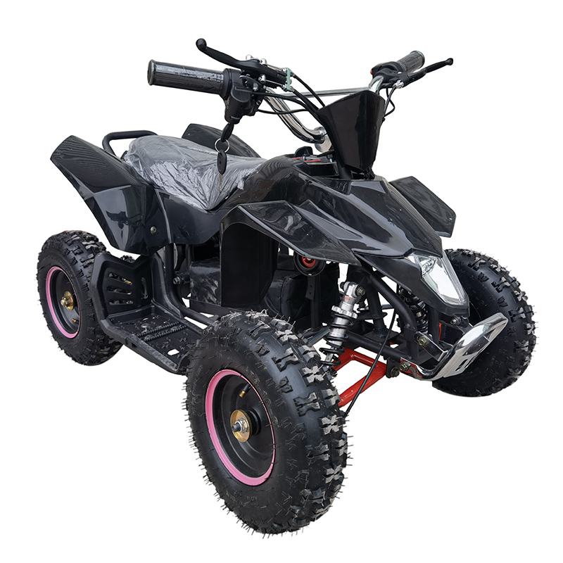 36V 1000W electric mini ATV kids quad bike four wheel bike