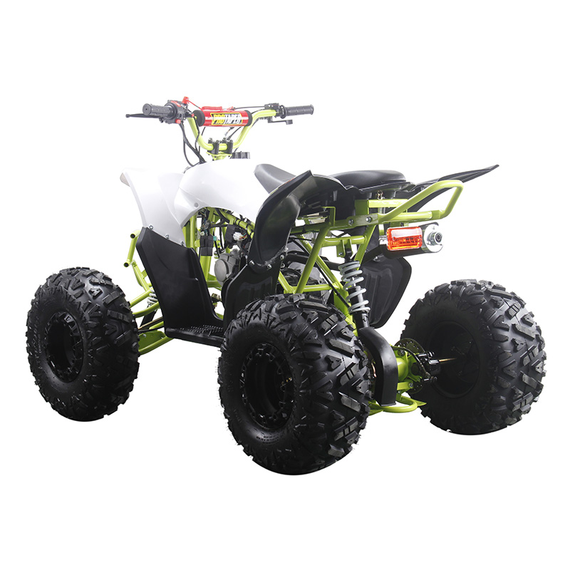 New 125cc quad 125cc atv 110cc quad bike