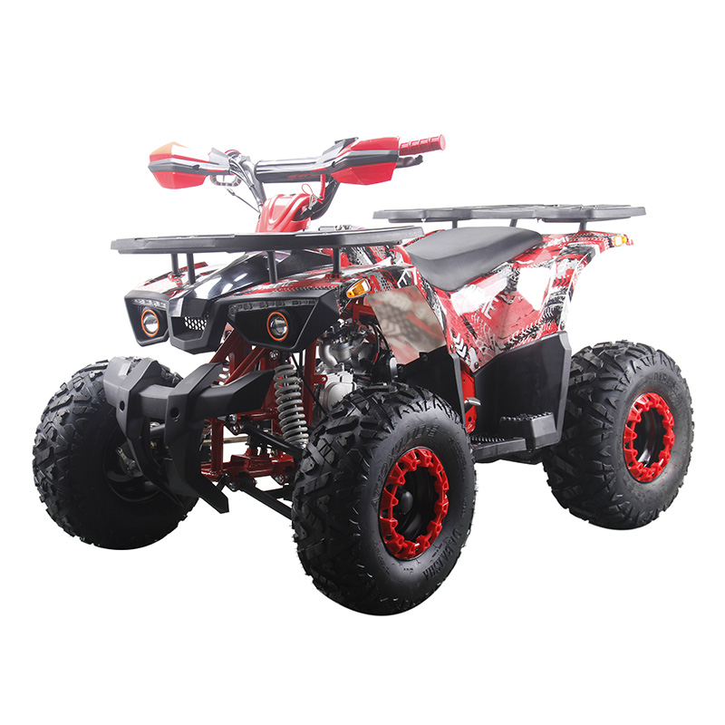 125cc quad bike 125cc ATV four wheeler motorcycle