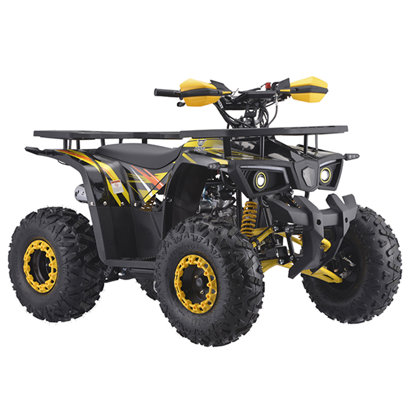 125cc quad bike 125cc ATV four wheeler motorcycle